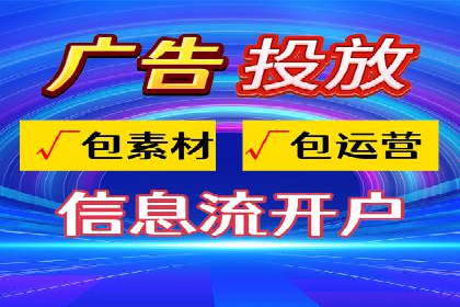 行业领先的SEM投放效果案例解析